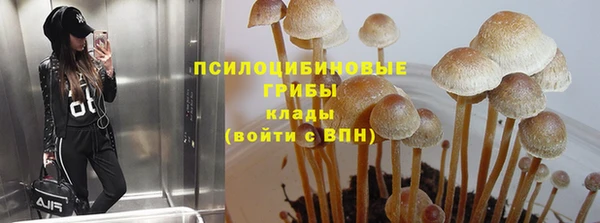 трава Баксан